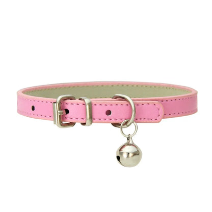 collier pour chat - Colincat™