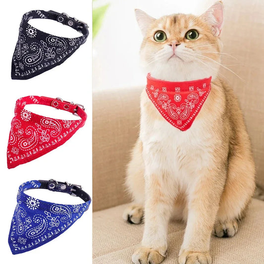collier pour chat - Bandtiny™