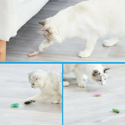 jouet pour chat-  buggo™