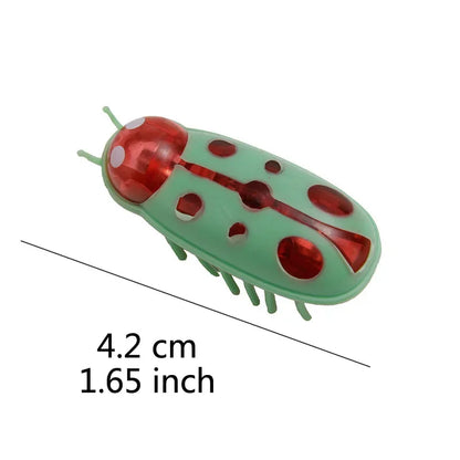 jouet pour chat-  buggo™