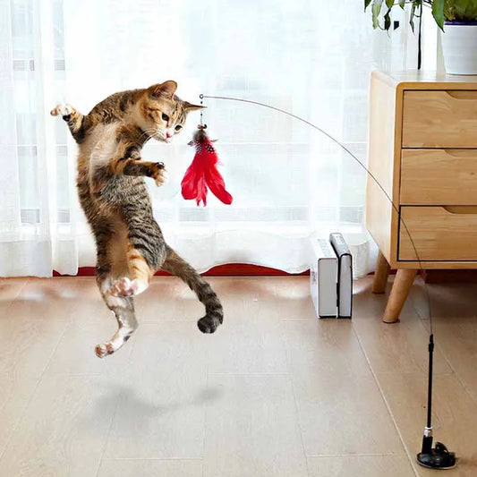 jouet pour chat -plumo™