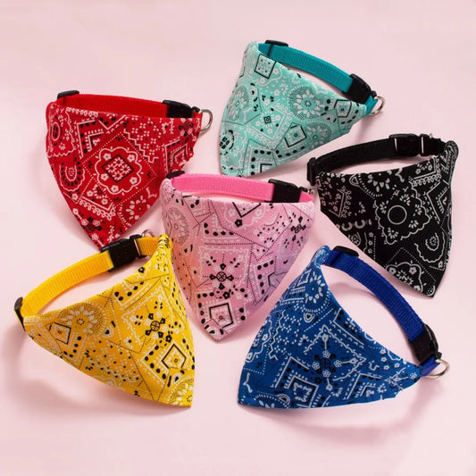 collier pour chat - bandaCATT™