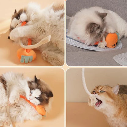jouet pour chat- plucat™