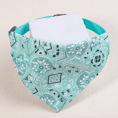 collier pour chat - bandaCATT™