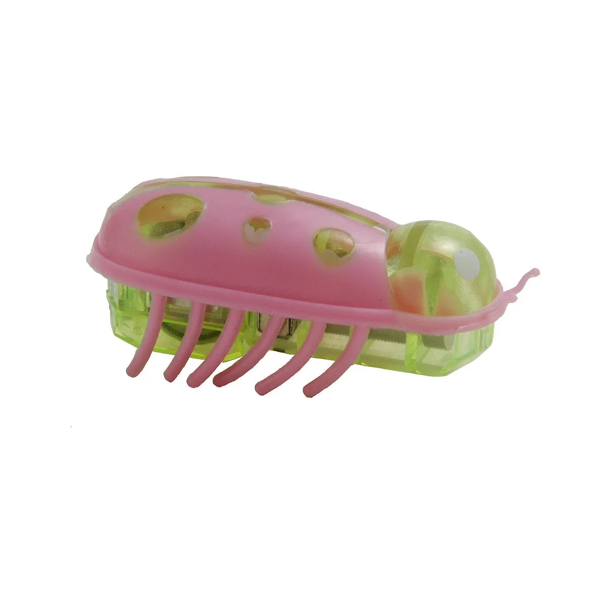 jouet pour chat-  buggo™