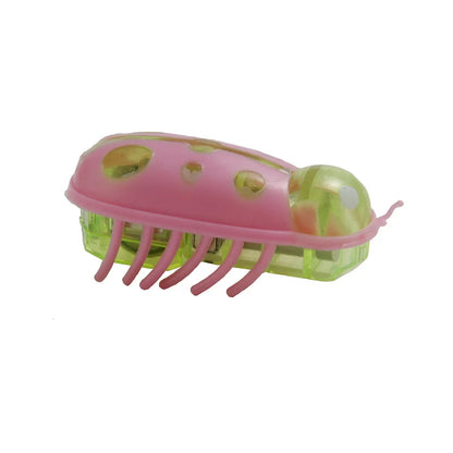 jouet pour chat-  buggo™