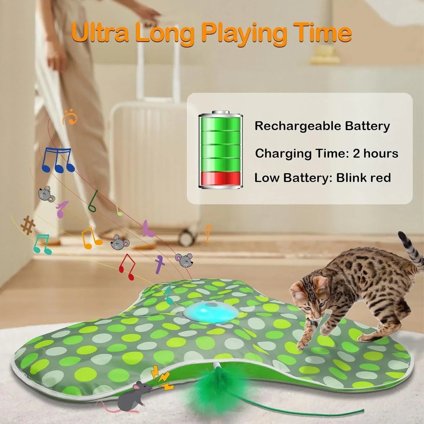 jouet pour chat -Lecache-plumeCat™