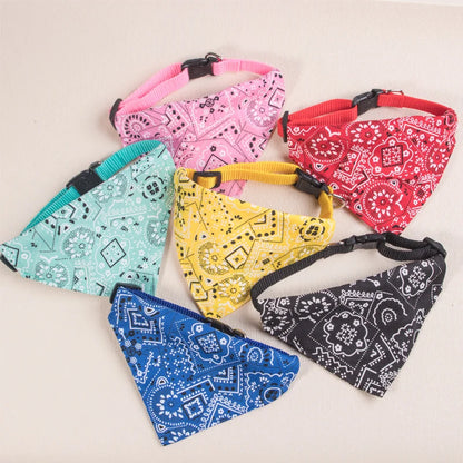 collier pour chat - bandaCATT™