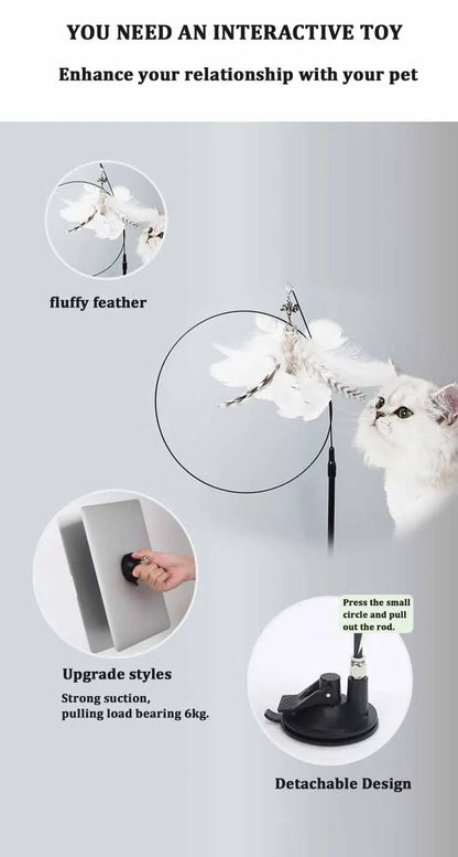 jouet pour chat -plumo™