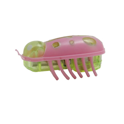 jouet pour chat-  buggo™