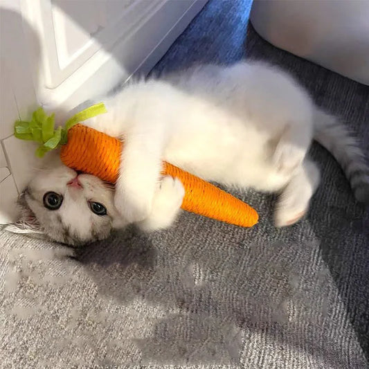 jouet pour chat-LaCawot™