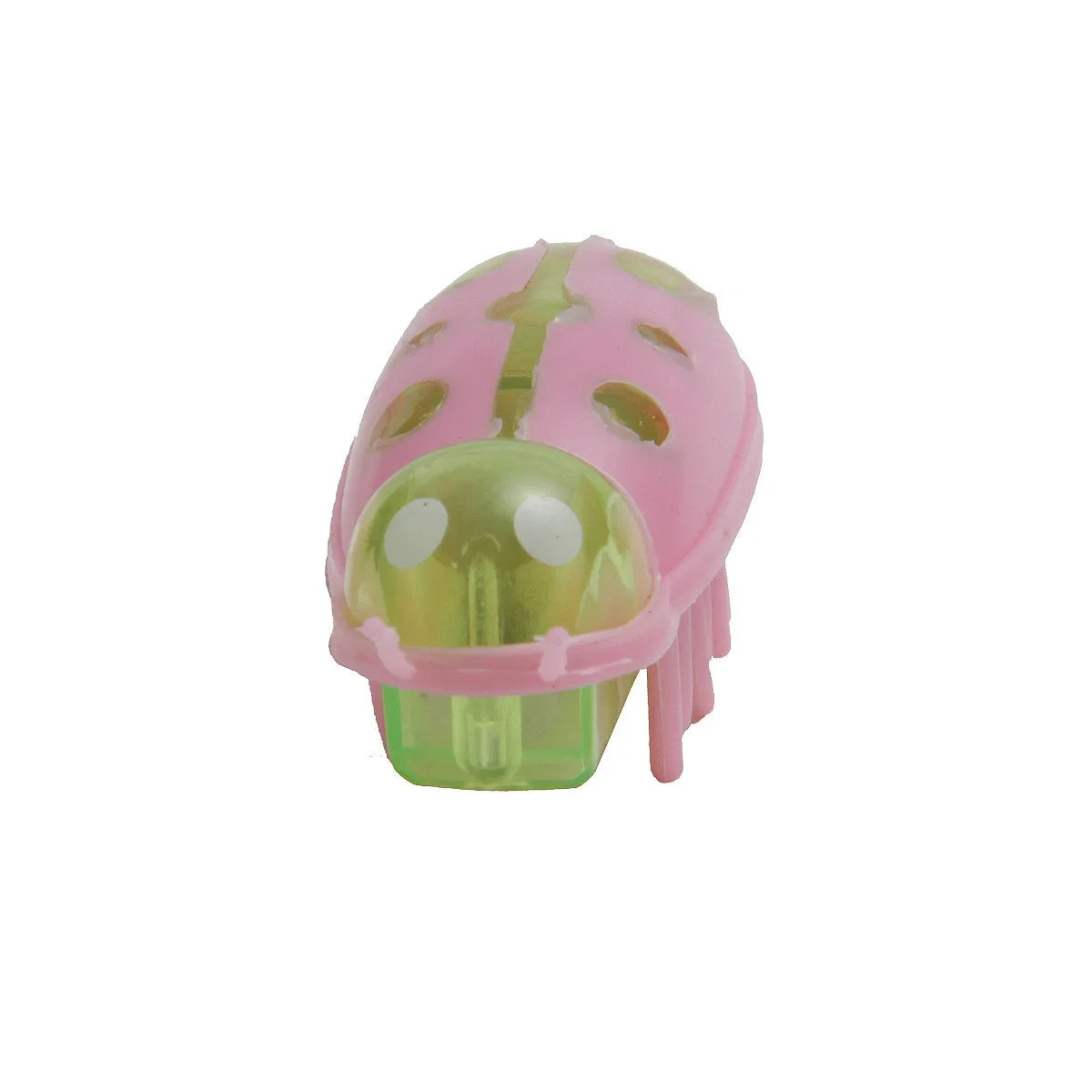 jouet pour chat-  buggo™