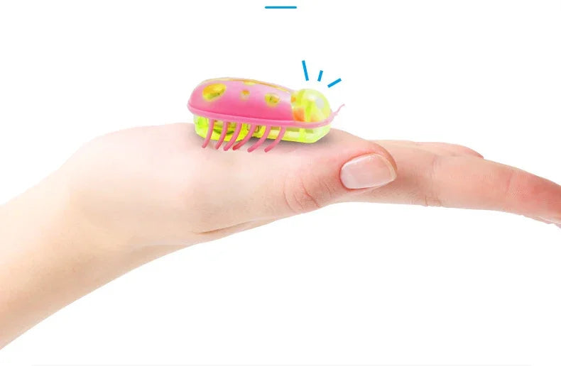 jouet pour chat-  buggo™