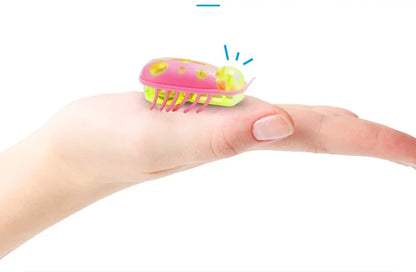 jouet pour chat-  buggo™