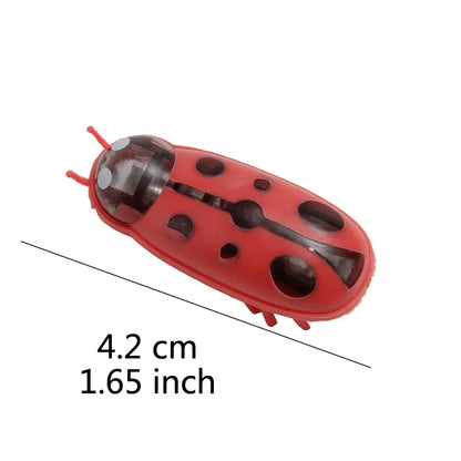 jouet pour chat-  buggo™