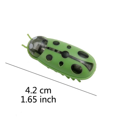 jouet pour chat-  buggo™