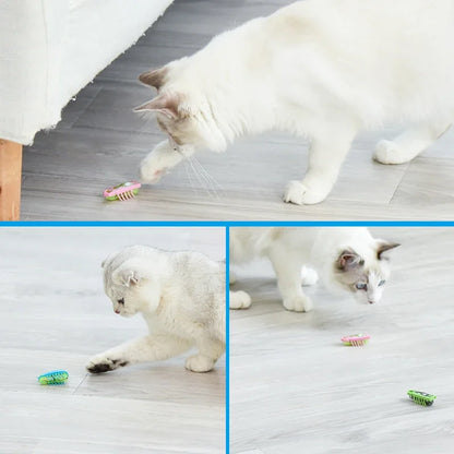 jouet pour chat-  buggo™