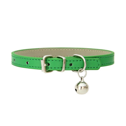 collier pour chat - Colincat™