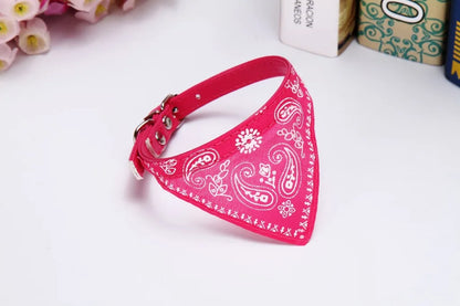 collier pour chat - Bandtiny™
