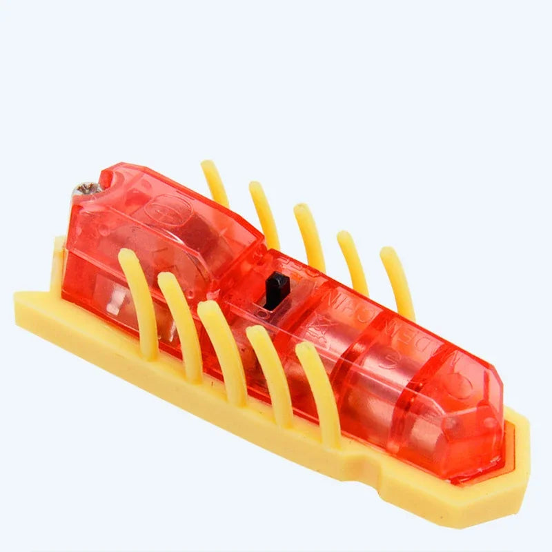 jouet pour chat-  buggo™