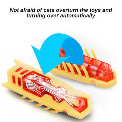 jouet pour chat-  buggo™