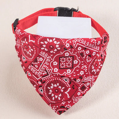 collier pour chat - bandaCATT™