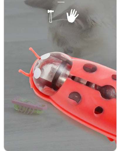jouet pour chat-  buggo™