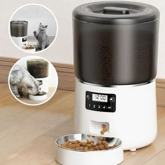 distributeur de croquettes CleanBO avec image representative