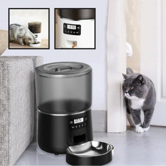 distributeur de croquettes CleanBO noir avec petit chat et image