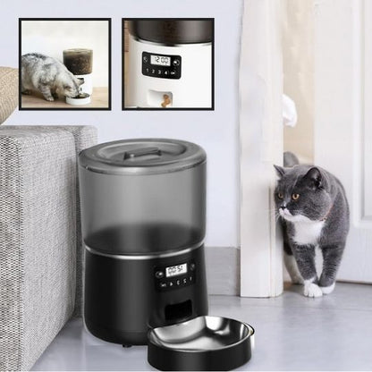 distributeur de croquettes CleanBO noir avec petit chat et image
