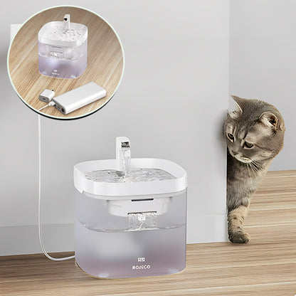 fontaine a eau pour chat avec chat qui regarde