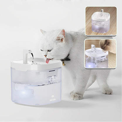 fontaine a eau pour chat avec image et chat blanch