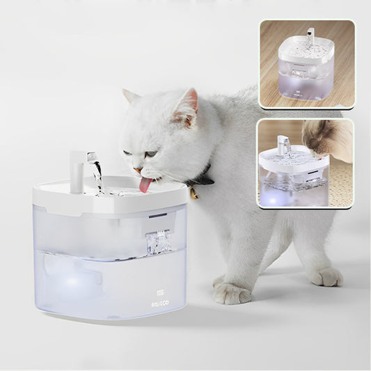 fontaine a eau pour chat avec image et chat blanch