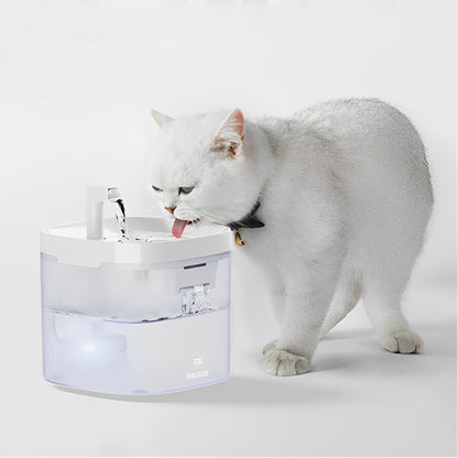 fontaine a eau pour chat avec petit chat blanch
