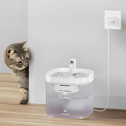 fontaine a-eau pour chat connecte