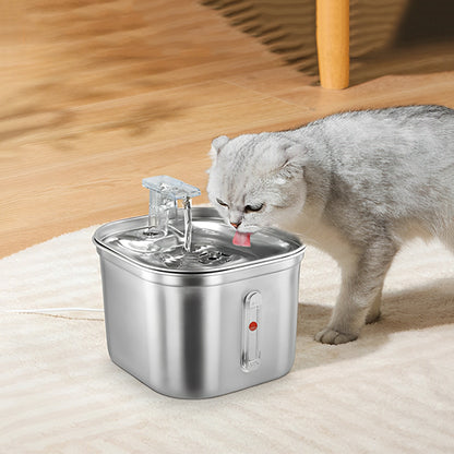 fontaine a eau pour chat avec chaton gris