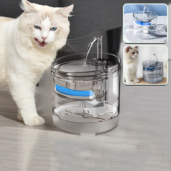fontaine a eau pour chat avec deux images représentative