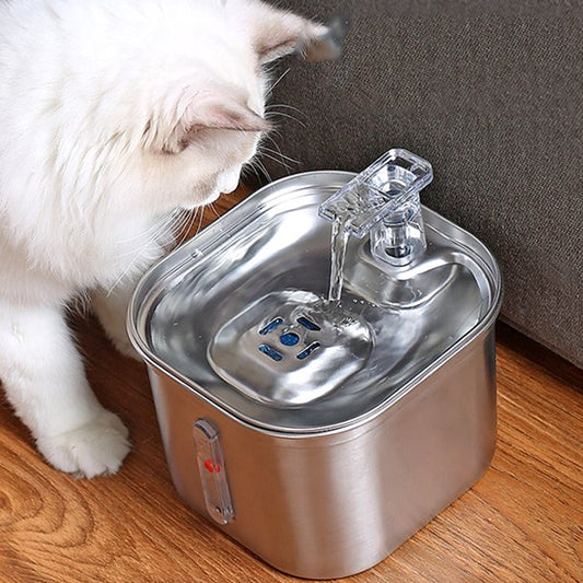 fontaine a eau pour chat avec gros chat blanch qui regarde
