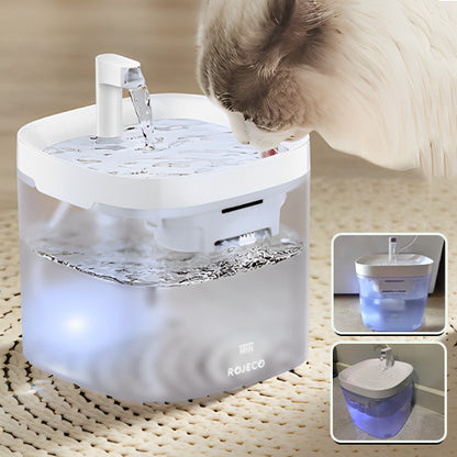fontaine a eau pour chat avec petit chat caramel