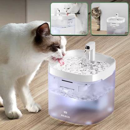 fontaine a eau pour chat