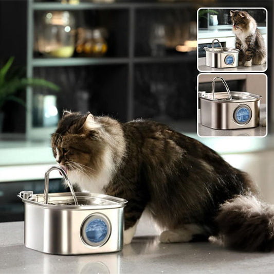 fontaine a eau pour chat  CleanoCat avec chat brun qui bois