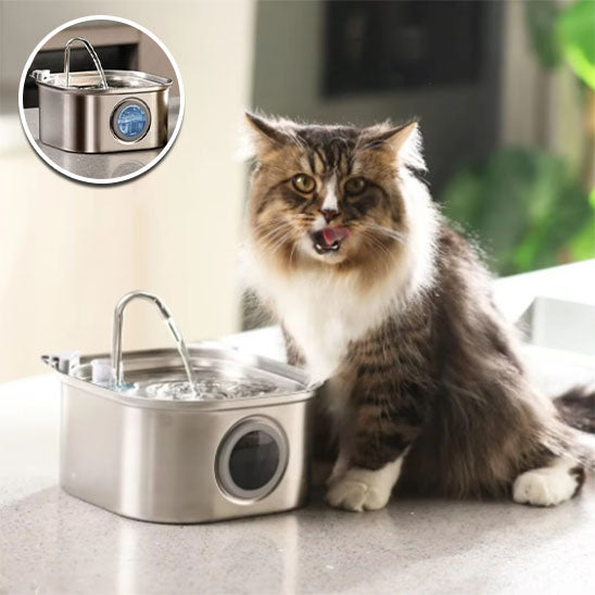 fontaine a eau pour chat CleanoCat avec chat brun