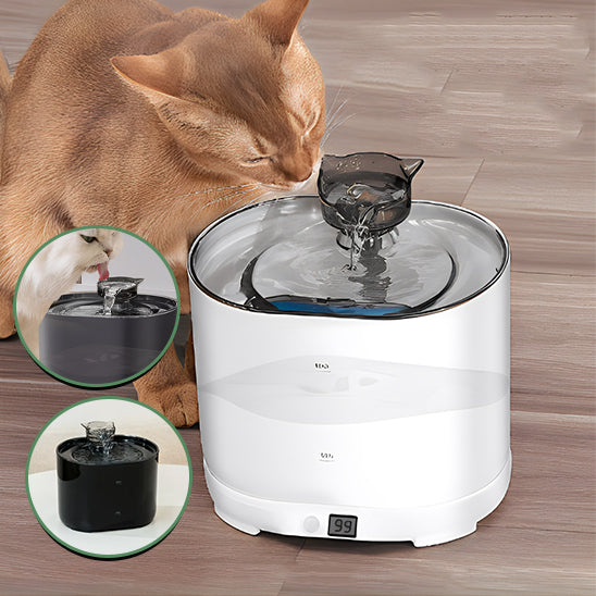 fontaine a eau pour chat FeedersCubi avec chat caramel