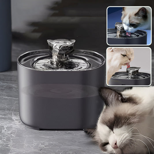 fontaine a eau pour chat FeedersCubi avec chat qui dort