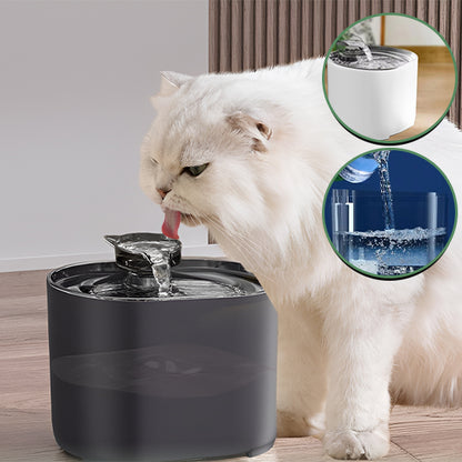 fontaine a eau pour chat FeedersCubi avec image representative