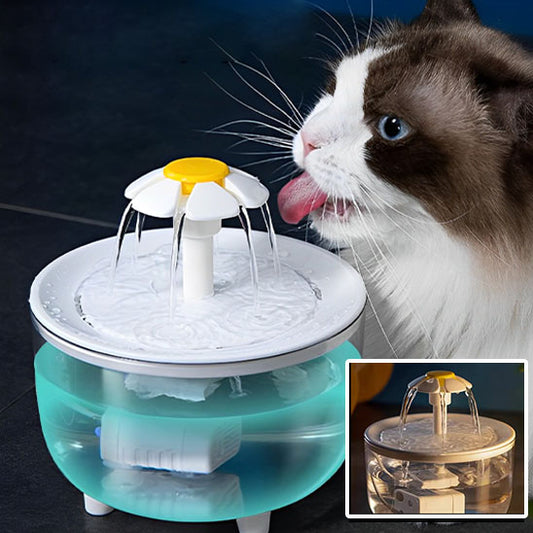 fontaine a eau pour chat Fleuribol avec chat brun