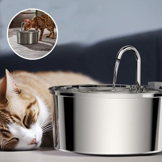 fontaine a eau pour chat Cattdrink avec chat qui dort