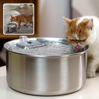 fontaine a eau pour chat  Cattdrink avec petit chat blanch caramel