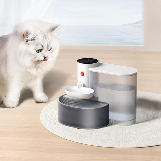 fontaine a eau pour chat avec chat blanc