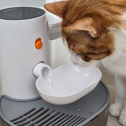 fontaine a eau pour chat avec chat caramel